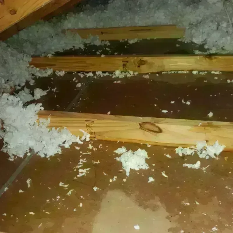 Attic Water Damage in Milan, IN