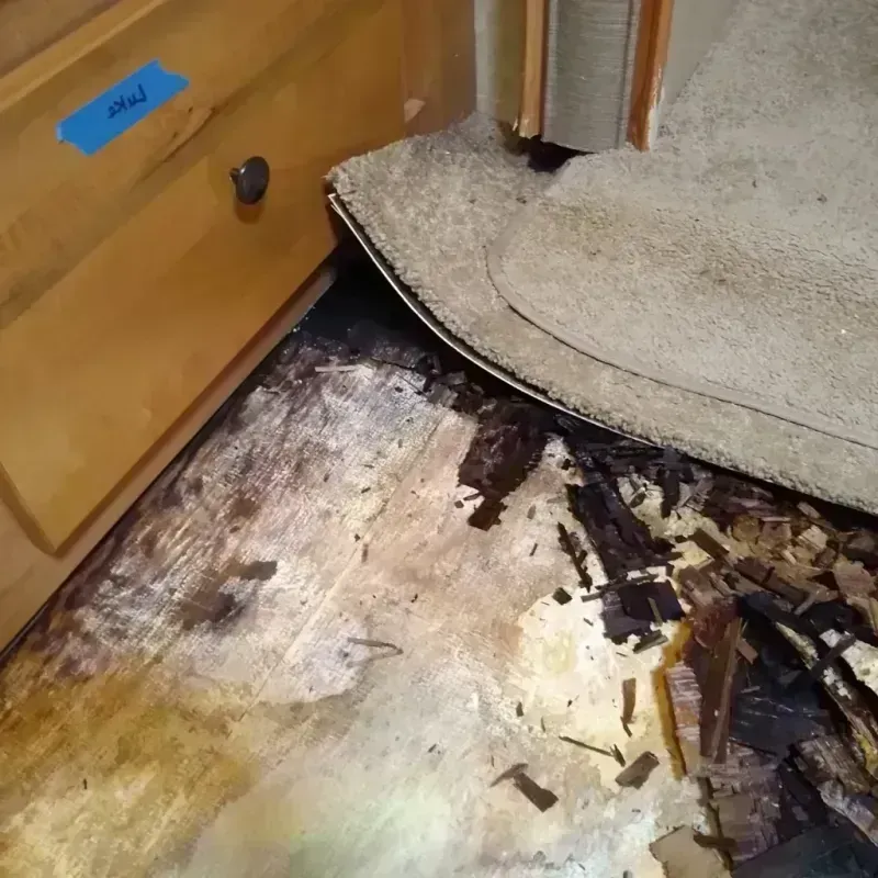 Best Wood Floor Water Damage Service in Milan, IN